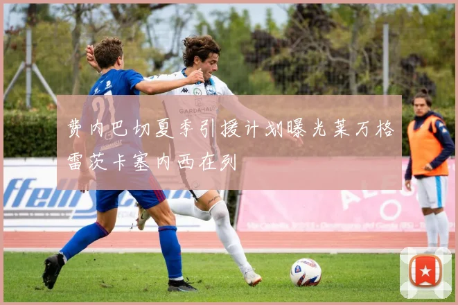 费内巴切夏季引援计划曝光莱万格雷茨卡塞内西在列