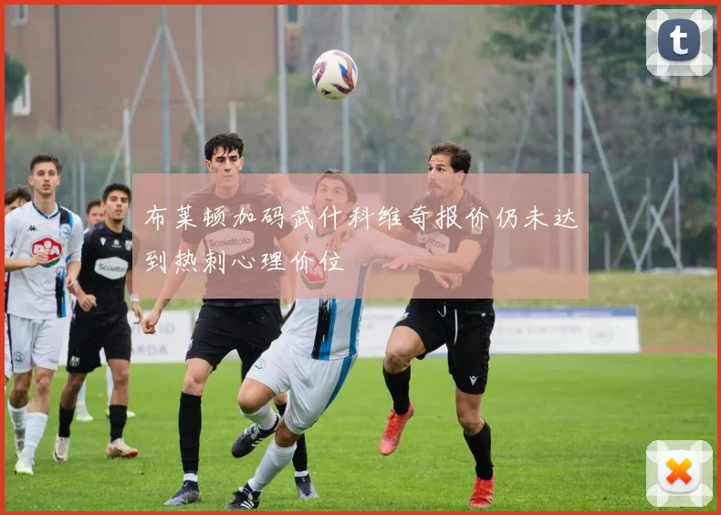布莱顿加码武什科维奇报价仍未达到热刺心理价位